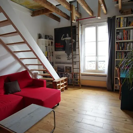 Joli Duplex 3 Pieces Dans Les Puces Apartment *
